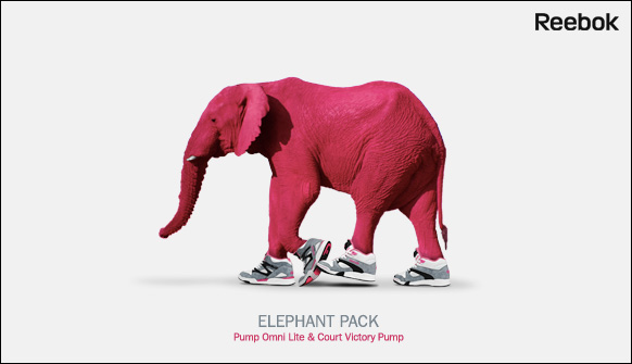 Rbk Elephant1